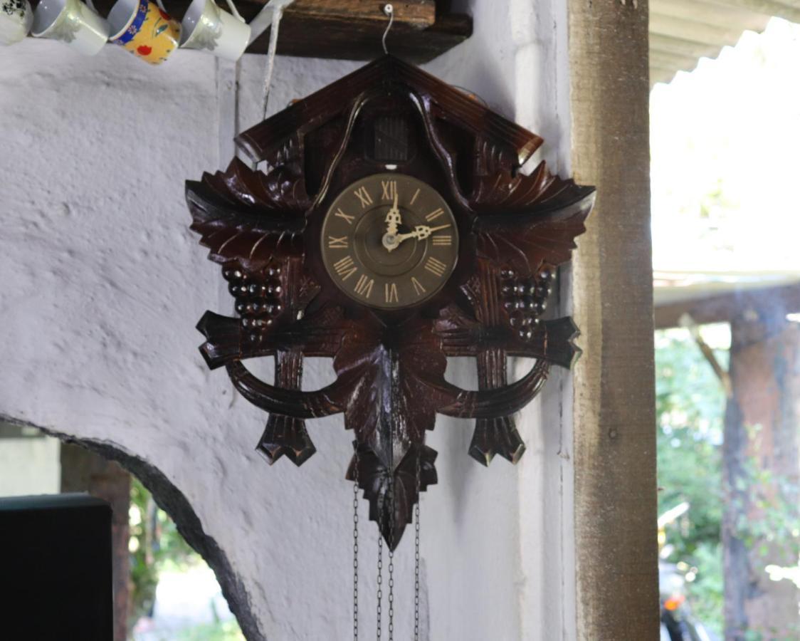 Nosso Chalé na Ilha Cananéia Extérieur photo