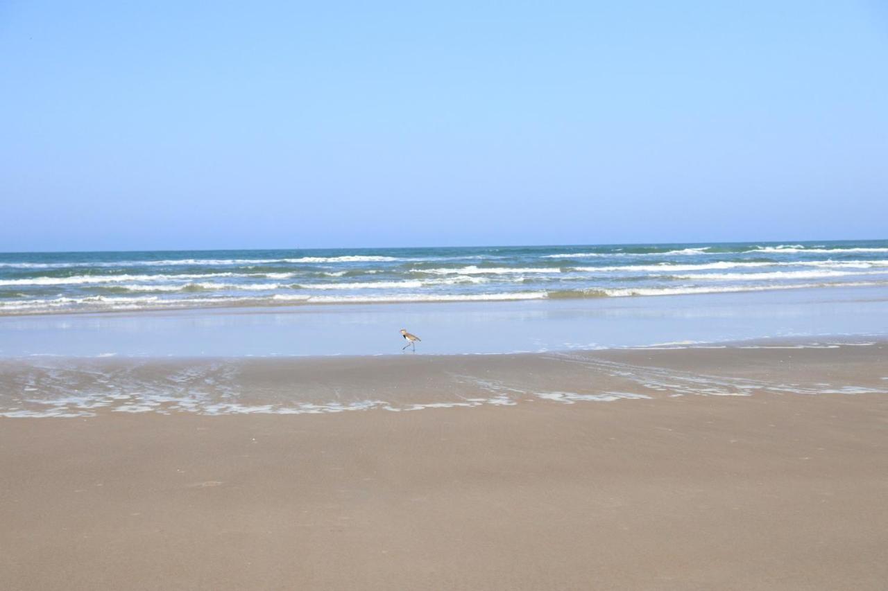 Nosso Chalé na Ilha Cananéia Extérieur photo